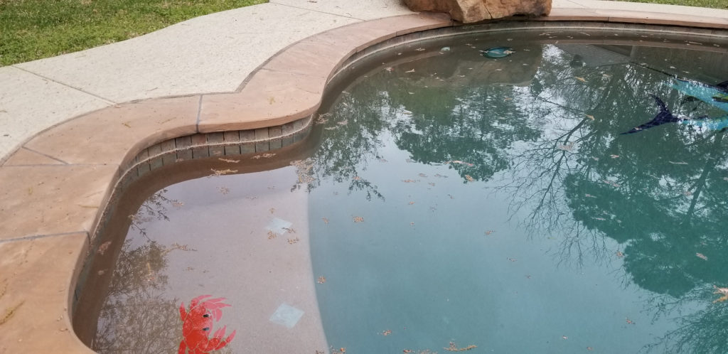 How to Deal with Pollen in the Pool Professional Pool Supply